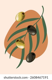 Hand drawn abstract poster with olives and black olives and green twig on beige background. Vector flat illustration. Design for template, logo, posters, invitation, greeting card