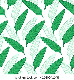 Hand drawn abstract seamless pattern with green plumeria leaves. Exotic tropical leaves isolated on a white background. Cute template for cards, fabric, wrapping paper. Vector illustration.