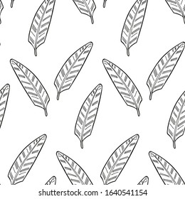 Hand drawn abstract seamless pattern with plumeria leaves. Exotic tropical leaves isolated on a white background. Cute template for cards, fabric, wrapping paper. Vector illustration.
