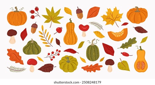 Hand drawn abstract set autumn doodle elements. Fall leaves, mushroom, maple, acorn, berries, oak, pumpkin. Harvest time. Autumn floral stickers. Vector trendy flat illustration.