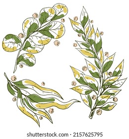 Hand drawn abstract set of branches and leaves isolated on white background. Vector illustration in green and yellow. Design for logo, posters, invitation, greeting card.