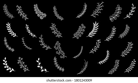 Colección de elementos de doodle dibujados a mano Abstracto Colección de ramas de vino floral con hojas. Elementos de la planta de flores, estilo de diseño de vectores.