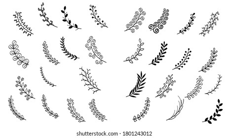 Hand Drawn Abstract Set Doodle Elements Collection Floral Vine Branches with leaves. Flower Plant Elements, Vector Design Style.