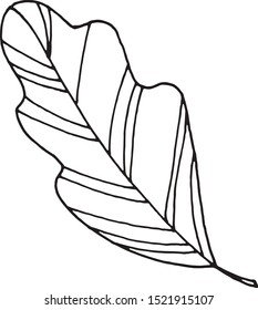 Hand drawn abstract simple scandinavian style elements leaves. Black and white vector doodle for the design of postcards, posters, fabrics, coloring books, wrapping paper, templates.