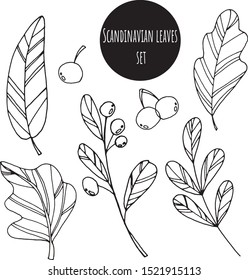 Hand drawn abstract simple scandinavian style elements leaves set. Black and white vector doodle for the design of postcards, posters, fabrics, coloring books, wrapping paper, templates.