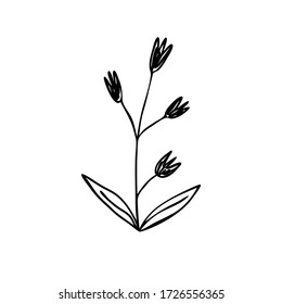 Hand drawn abstract sprig silhouette. Black and white outline  floral vector illustration. Decorative branches. Spring and summer flower icon. Doodle style.