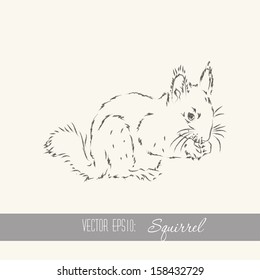 hand drawn abstract squirrel vector