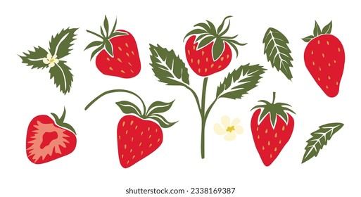 Hand drawn abstract strawberry set. Collection of whole and cut strawberries, branches, flowers and leaves vector illustrations isolated on white background. Fresh juicy fruits clip art