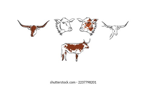 Hand drawn abstract vector graphic clipart illustration boho bull and cow with horns logo element.Western design concept. Doodle wild west contemporary art.Cowboy girl modern drawing. Cow farm design.