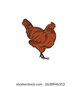Hand drawn abstract vector graphic illustration collection with cute, stylized domestic animals rooster and hen character.Trendy modern farm design concept.Vector line farm animal symbol. animal icons