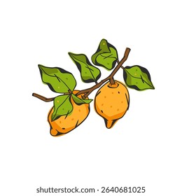 Hand drawn abstract vector graphic illustration collection with stylized lemon branch fruit in cartoon drawing style.Trendy modern juicy fruit design concept.Vector line fruit symbol icon.