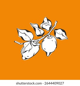 Coleção de ilustração gráfica vetorial abstrata desenhada à mão com fruto de galho de limão estilizado em desenho animado style.Trendy moderno suculento fruto design concept.Vetor linha de fruto símbolo ícone.