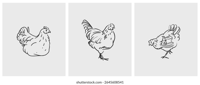 Hand drawn abstract vector graphic illustration collection set with cute, stylized domestic animals rooster and hen character.Trendy modern farm design concept.Vector line animal symbol. animal icons