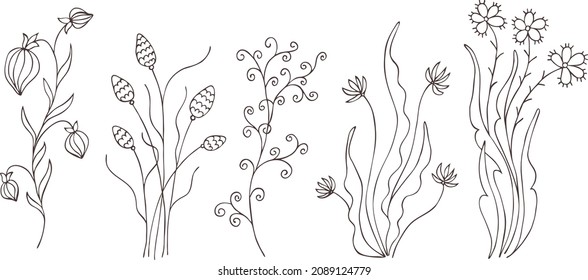 Hand drawn abstract vector set of plants, flowers, herbs. Isolated. Close-up. Eps spring floral vintage art, outline silhouette on transparent background. Template for t shirt, textile, package, label