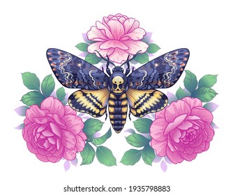 Hand drawn Acherontia Styx butterfly and Pink Rose flowers on white. Colored elegant floral composition with Death's-Head Hawk Moth. Vector illustration in vintage style, tattoo art, t-shirt design.