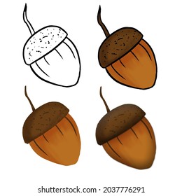 Hand drawn acorn illustration isolated in a white background