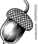 Hand drawn Acorn Oak Nut Autumn Element Autumn Ornament Autumn Decor Sketch Illustration Engraving Woodcut Vintage Style Vector