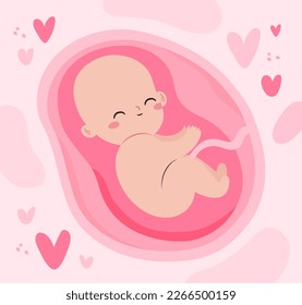 Hand drawn adorable fetus illustration Vector illustration.