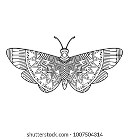 hand drawn for adult coloring pages with moth bug zentangle monochrome sketch