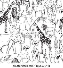 Hand drawn african animals and birds on white background. Vector seamless pattern.