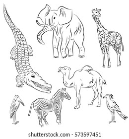 Hand Drawn African Animals and Birds. Doodle Drawings of Elephant, Zebra, Giraffe, Camel, Marabou and Secretary-bird. Sketch Style. Vector Illustration.