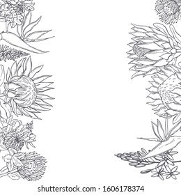 Hand drawn African flowers. Vector  background. Sketch illustration.