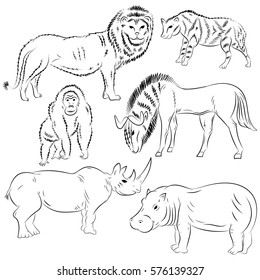 Hand Drawn African Wilde Animals. Doodle Drawings of Lion, Stripped Hyena, Gorilla, Wildebeest, Hippo and Rhinoceros. Sketch Style. Vector Illustration.
