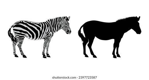 Hand drawn african zebra silhouette vector design