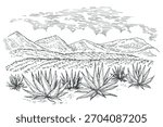 Hand drawn agave field panoramic landscape in engraved monochrome style. Vintage vector illustration.