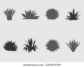 hand drawn agave plant vector silhouette collection