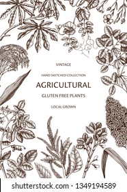 Hand drawn agricultural plants frame. Gluten free food design. Vector vegetables drawing in engraved style. High detailed vegetarian product flyer template. Agricultural plants background.