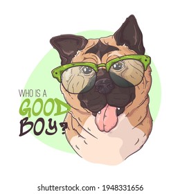 Hand drawn akita bespectacled dog Vector. Isolated objects for your design. Each object can be changed and moved.