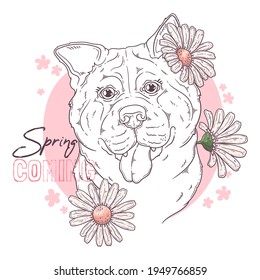 Hand drawn akita dog with flowers Vector. Isolated objects for your design. Each object can be changed and moved.