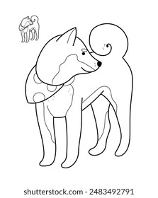 Hand drawn Akita dog in line style, outlined design. Editable stroke. Isolated on white vector illustration 
