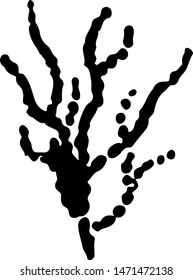 Hand Drawn alga doodle. Sketch style icon. Marine underwater plants weeds and animals. Isolated on white background. Flat design. Vector illustration.