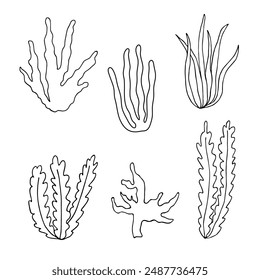 Hand drawn algae black set on white background. Vector illustration isolated sketch. Line art.