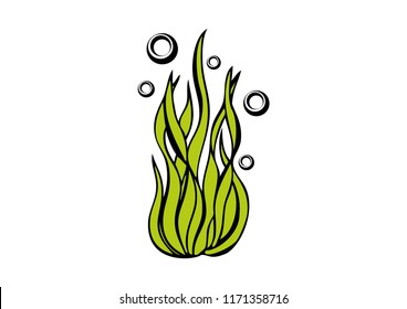 Hand drawn algae spirulina for medicinal, for cooking, cosmetics, store, health care, tag label, food design. Botanical illustrations for tags.