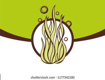 Hand drawn algae spirulina for medicinal, for cooking, cosmetics, store, health care, tag label, food design. Botanical illustrations for tags. Vector sketches.
