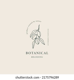 Hand drawn almond logo. Botanical illustration