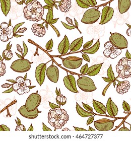 Hand drawn Almond Seamless pattern. Flowers, Branches with leaves and immature fruit. Floral background. Vector illustration.