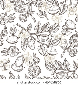 Hand drawn Almond Seamless pattern. Flowers, Branches with leaves and immature fruit. Floral background. Vector illustration.