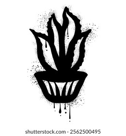  Hand drawn aloe vera in a flower pot with black spray paint graffiti