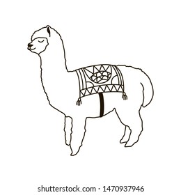 Hand drawn alpaca isolated on a white. Vector illustration. Hand drawn Peruvian animal, black and white doodle. Cute llama for tattoo design.