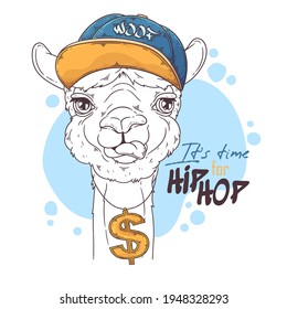 Hand drawn alpaca rapper with accessories Vector. Isolated objects for your design. Each object can be changed and moved.