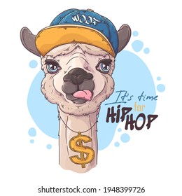 Hand drawn alpaca rapper with accessories Vector. Isolated objects for your design. Each object can be changed and moved.