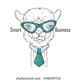 Alpaca dibujada a mano con vector de corbata. Objetos aislados para tu diseño. Cada objeto se puede cambiar y mover.