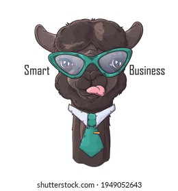 Hand drawn alpaca with tie Vector. Isolated objects for your design. Each object can be changed and moved.