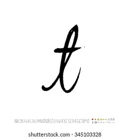 Hand drawn alphabet illustration & calligraphy - vector