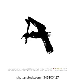 Hand drawn alphabet illustration & calligraphy - vector