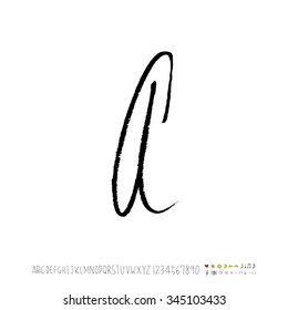 Hand drawn alphabet illustration & calligraphy - vector